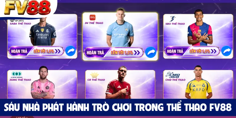 Sáu nhà phát hành trò chơi trong thể thao FV88